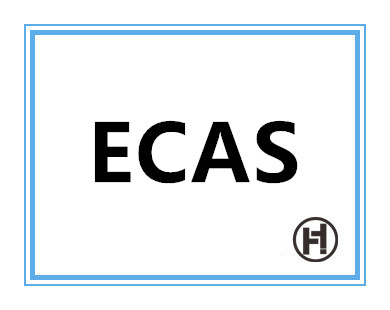 阿联酋ECAS认证